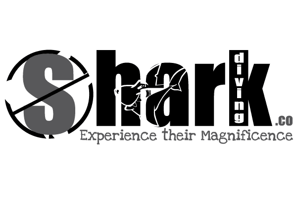 Shark Diving Co