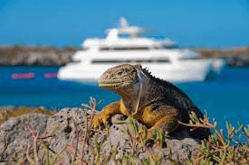Galapagos Islands