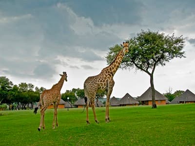Heia Safari Ranch