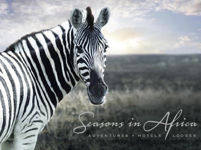 Madikwe Hills Private Game Lodge