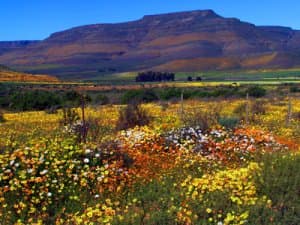 Cederberg & Clanwilliam Tourism